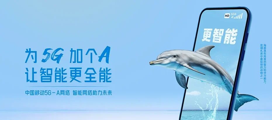 双清区双清区滨江街道 移动宽带